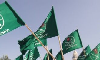 تخبط وأزمات داخل التنظيم الإرهابى.. لماذا يتستر قيادات الإخوان على فسادهم؟